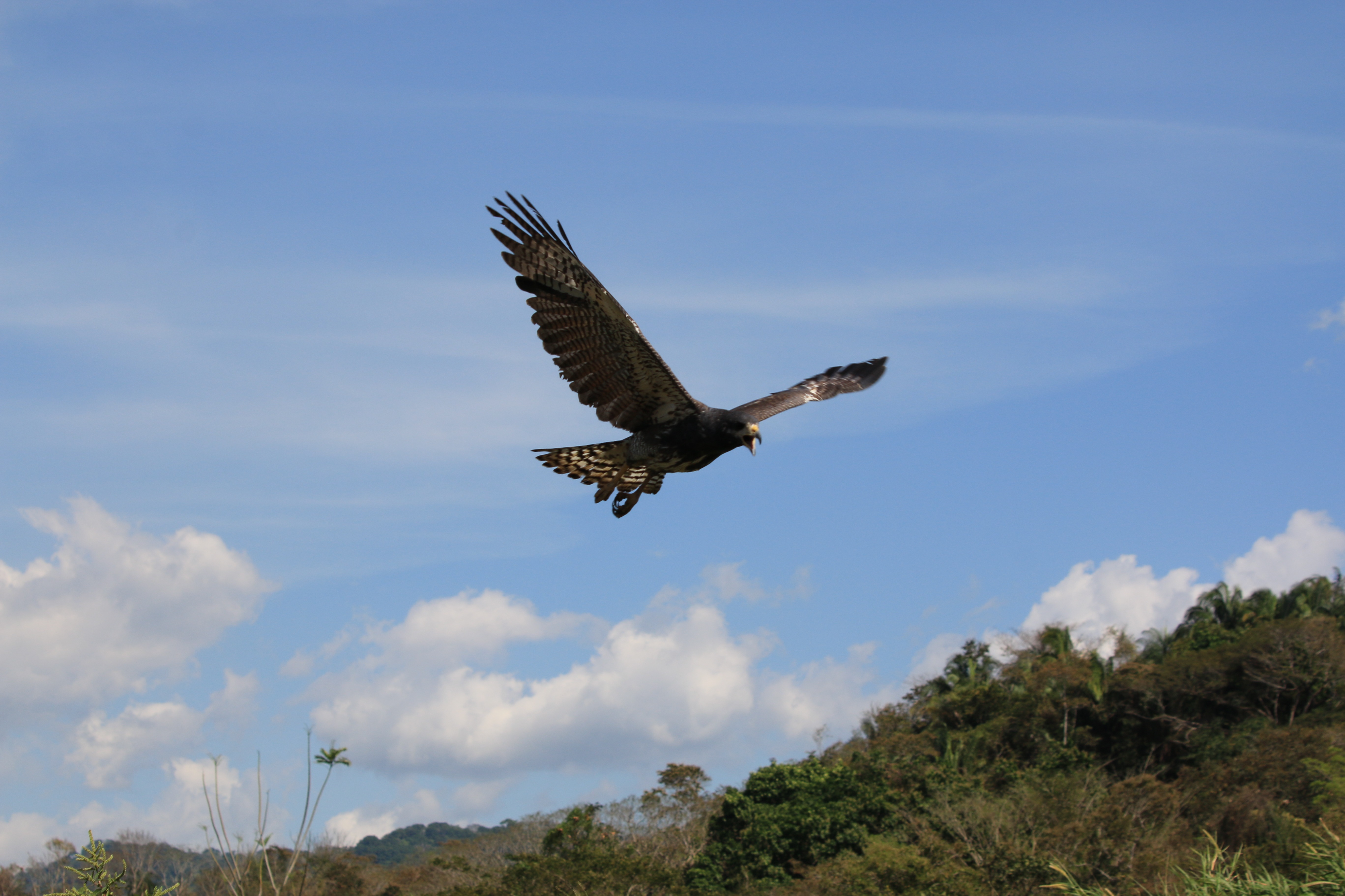 Costa Rica